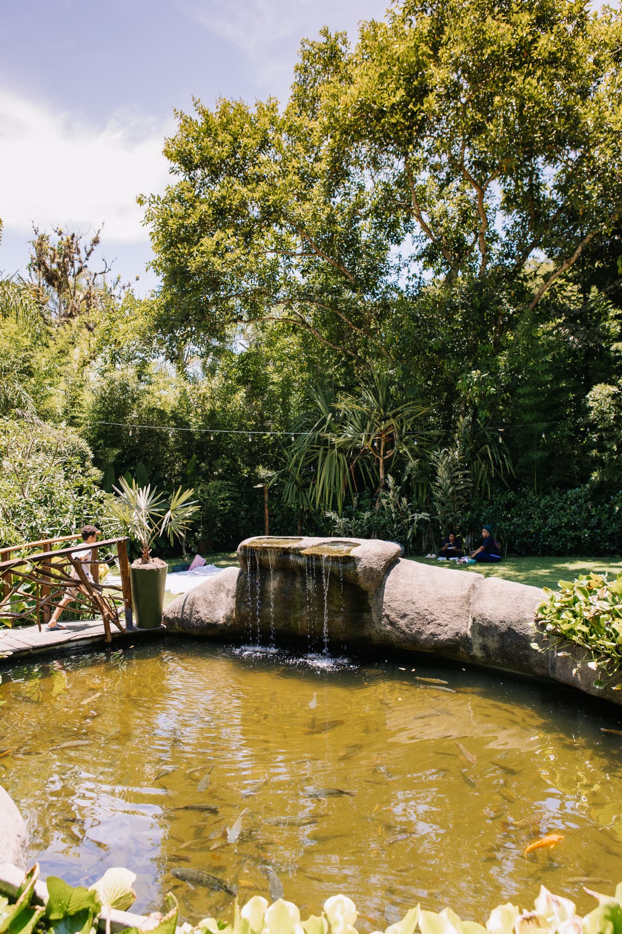 Lago com criação de peixes e pequena cascata